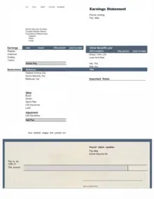 Steel premium payroll template preview