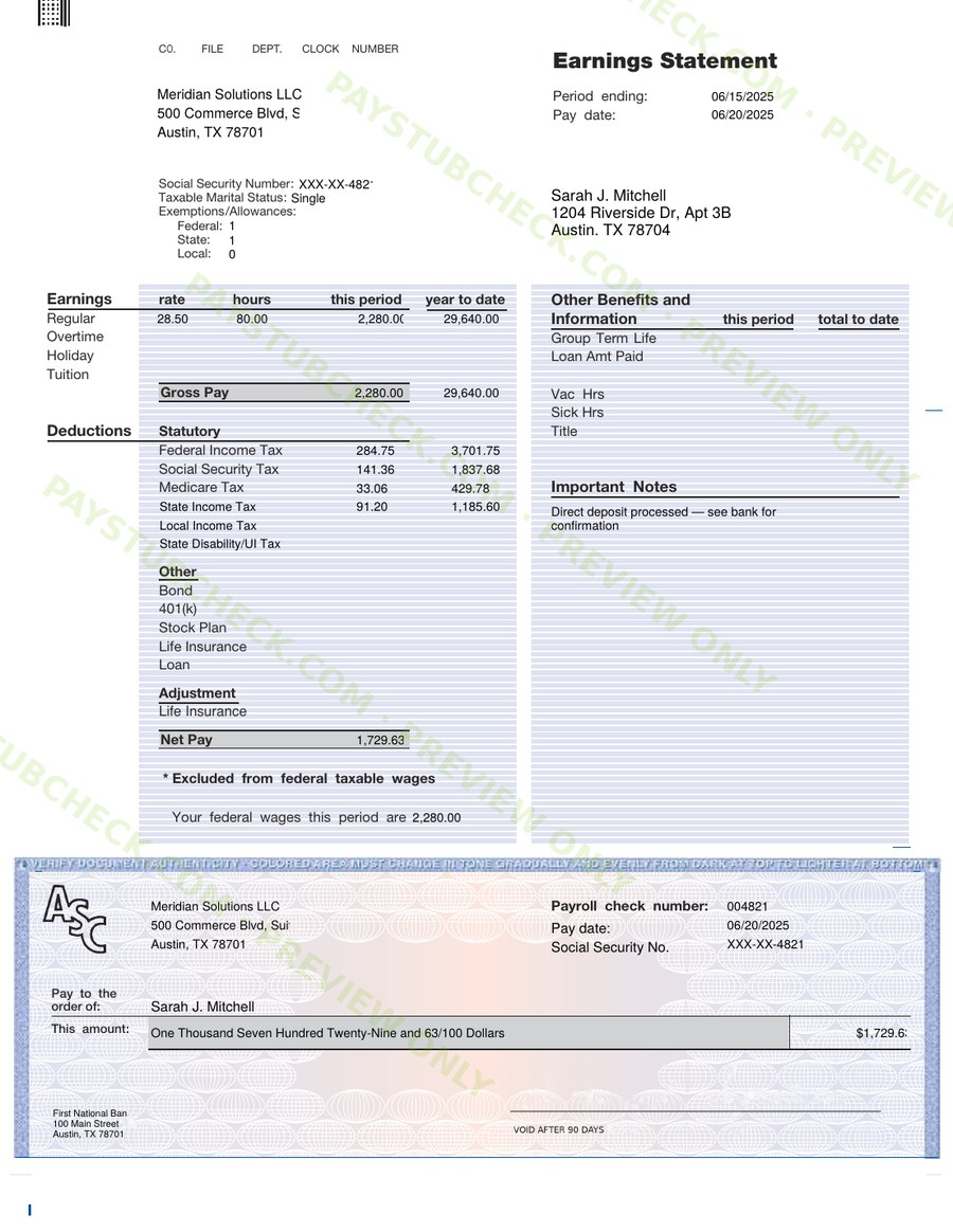 Professional Earnings Statement — actual template preview