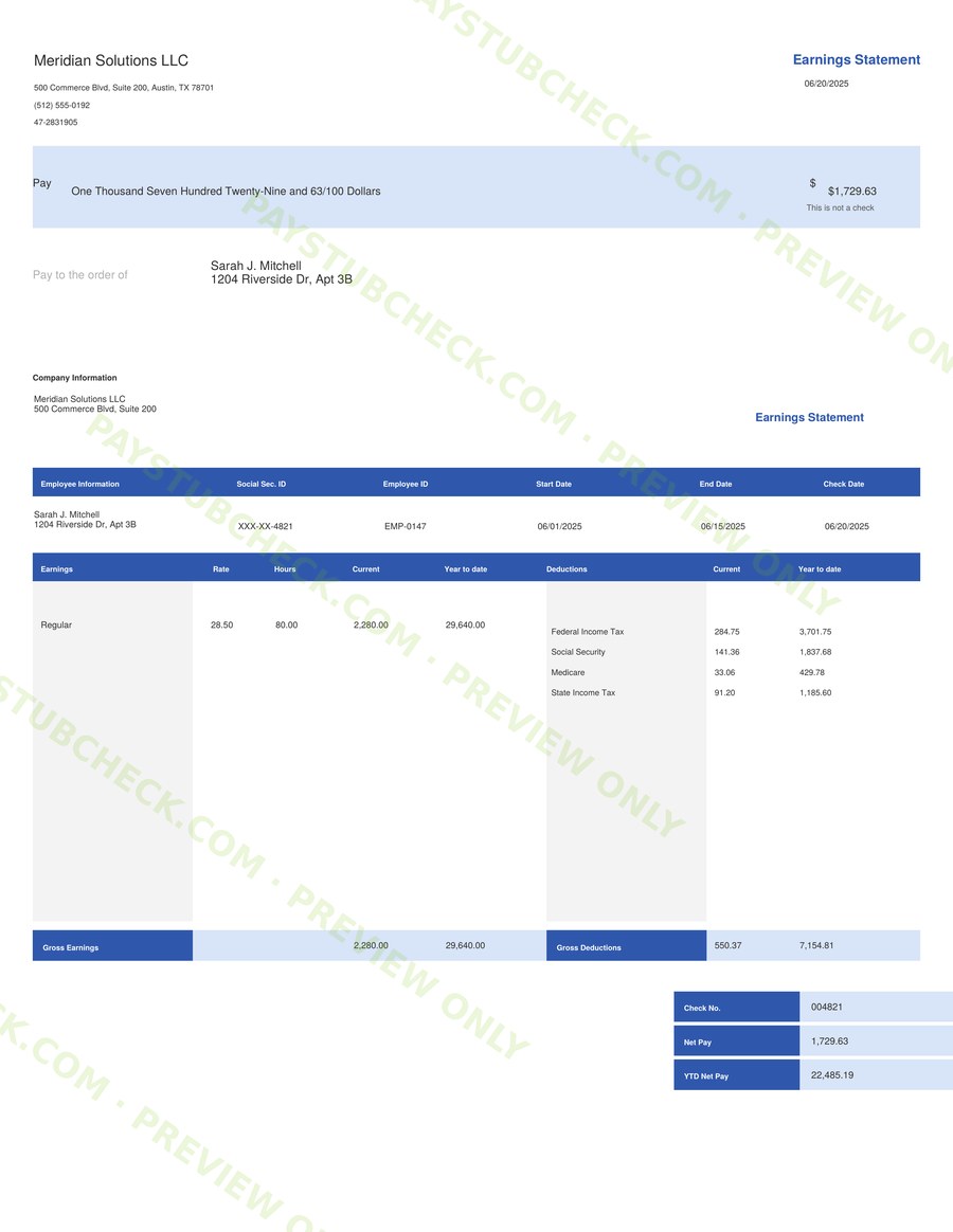 Paystub template preview